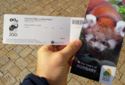 Зоопарк в Будапеште: в шаге от дикой природы