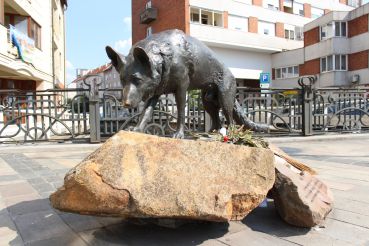 Памятник собаке Манч, Мишкольц
