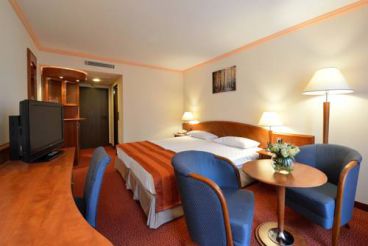 Superior Double Room with Air-Conditioning