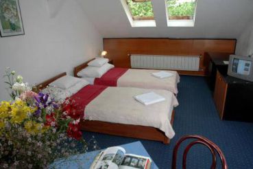 Double or Twin Room
