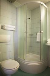 Double or Twin Room with Danube View