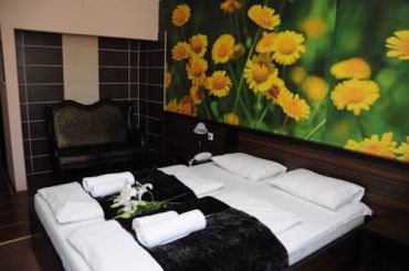 Standard Double or Twin Room