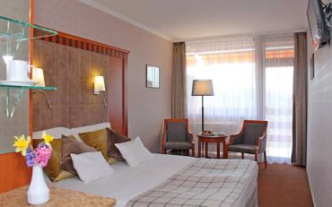 Standard Premium Double or Twin Room with Danube View