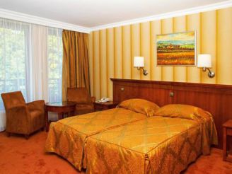 Superior Double or Twin Room with Danube View