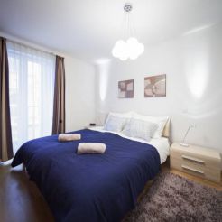 Superior One-Bedroom Apartment