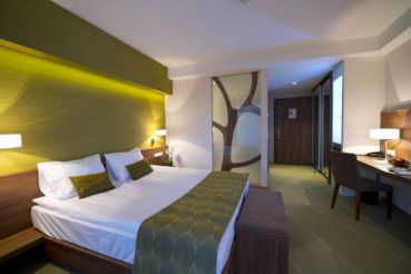 Premium Double or Twin Room
