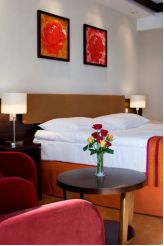 Classic Double or Twin Room with Wellness Access