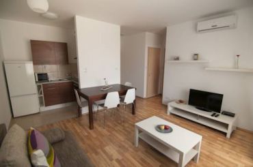 Deluxe One-Bedroom Apartment (3 Adults)