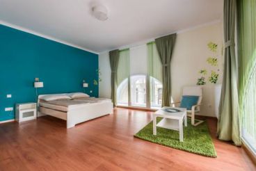 Superior One-Bedroom Apartment