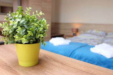Large Double or Twin Room
